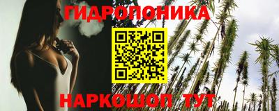 винт Гусь-Хрустальный