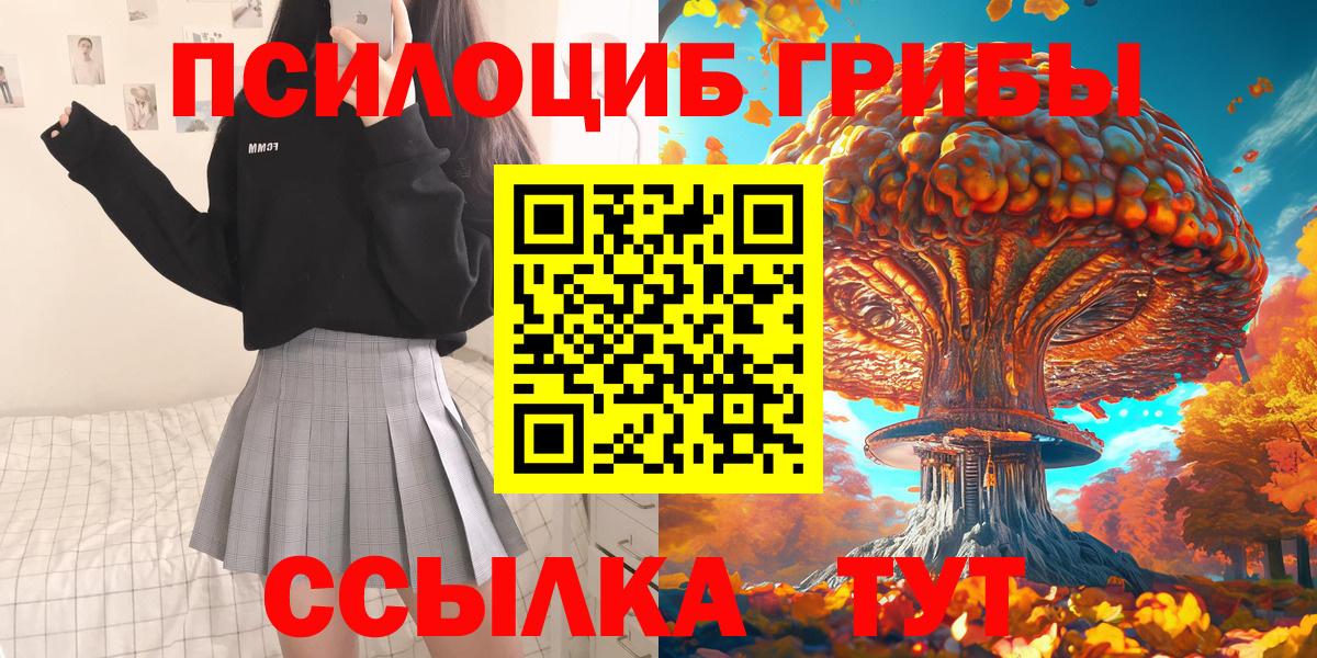 Острогожск  Галлюциногенные грибы прущие грибы  Вход с VPN 